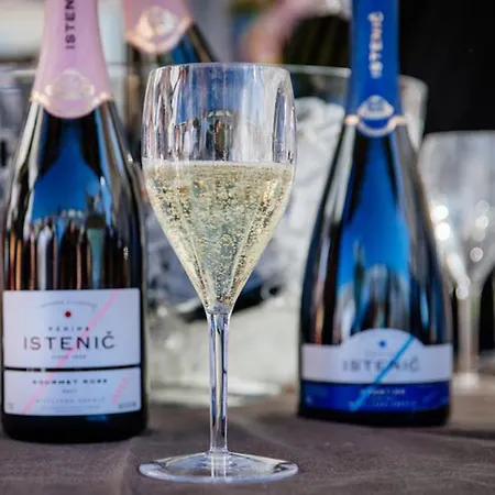 Aparthouse Supreme With Terme Catez Swimming Pools Tickets 公寓